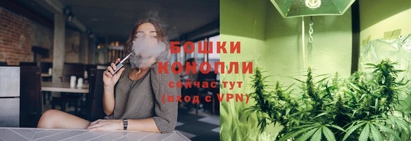 гидропоника Алзамай