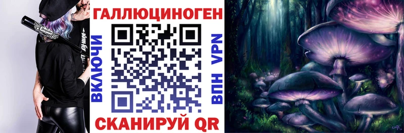 закладка  Воткинск  Псилоцибиновые грибы Psilocybe 